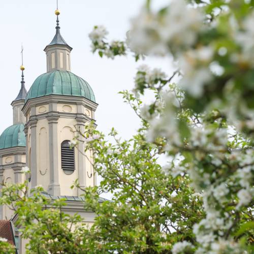 Das koste eine Hochzeitsfeier.