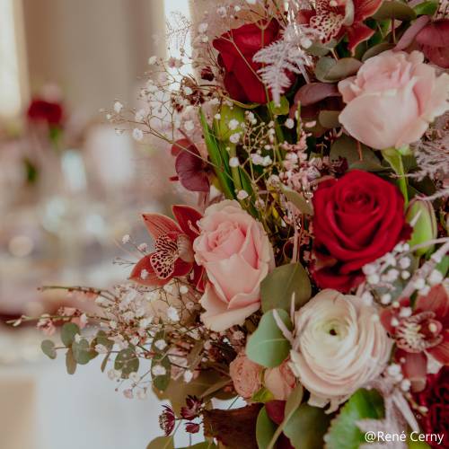 Präsentation unserer Dienstleister.