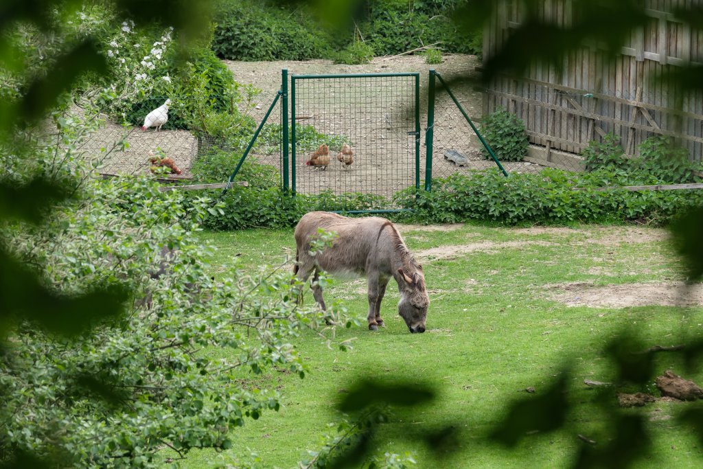 Active In Holzen Monastery Kloster Holzen Allmannshofen