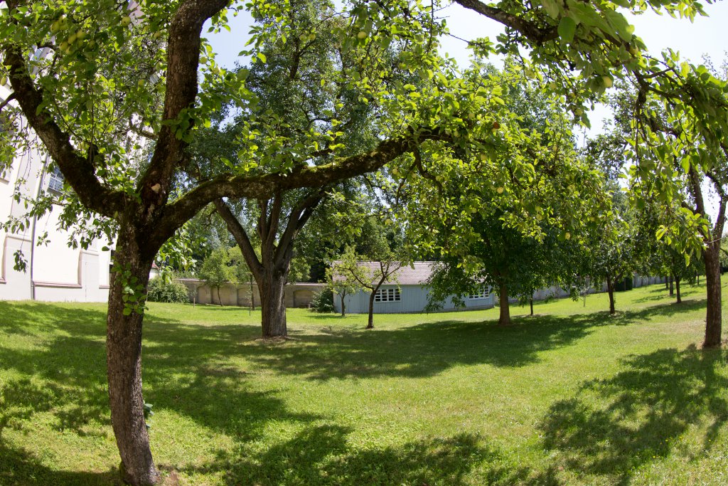 Active In Holzen Monastery Kloster Holzen Allmannshofen