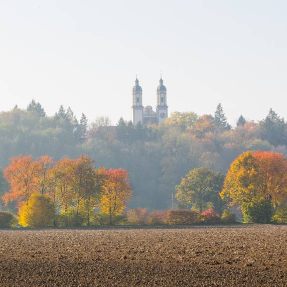 Kloster Holzen Herbst