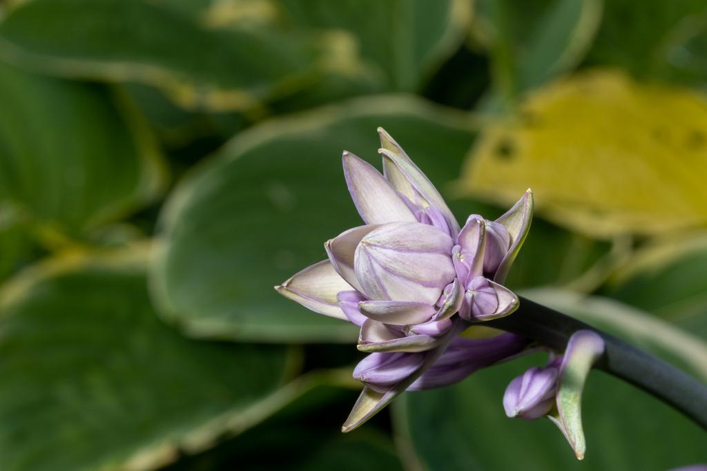 KlosterHotel Tradition & Moderne Hotel Kloster Holzen