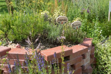 Kräuter- und Gartenfest in Kloster Holzen am 30. Juni 2019, Bild 1/1