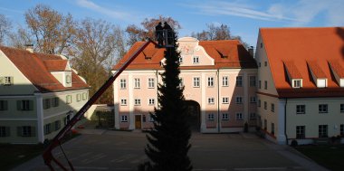 Der Nordhof - Der Christbaum, Bild 2/2