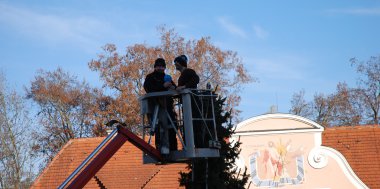 Der Nordhof - Der Christbaum, Bild 1/2